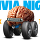 Illustration for article titled Jalopnik Is Hosting Another Virtual Car Trivia Night FRIDAY So Get Ready For Some Fun